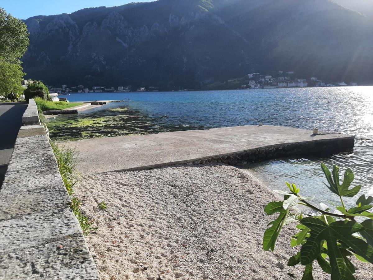 Apartments Tiha Noc Kotor Bagian luar foto